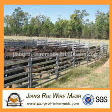 Продажа оборудования для животноводства Австралия
